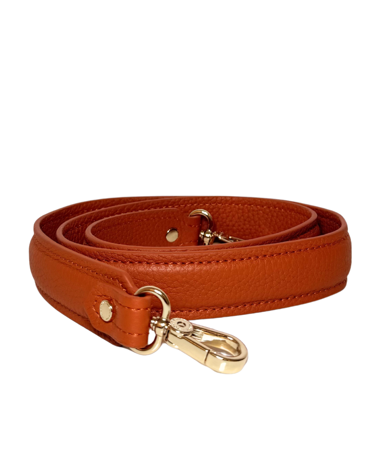 Pourchet Carat Crossbody, Small NEW FROM PARIS